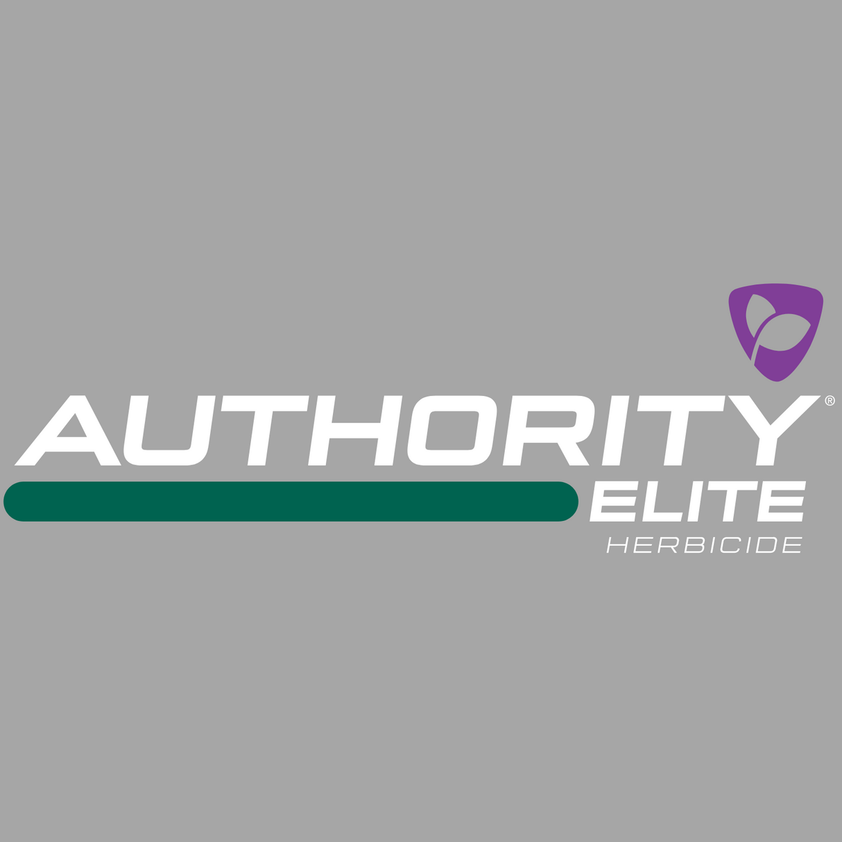 Authority Elite