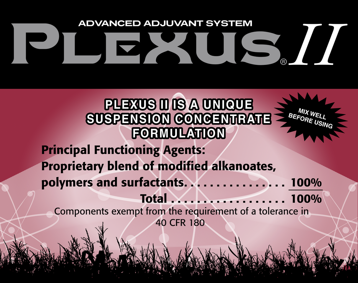 Plexus II